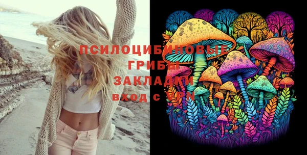 соль ск Аркадак