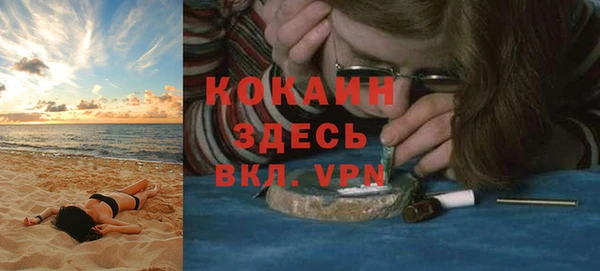 индика Балахна