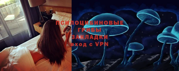 ешки Арсеньев