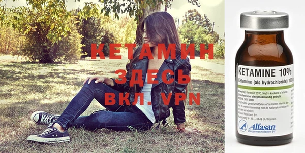 индика Балахна