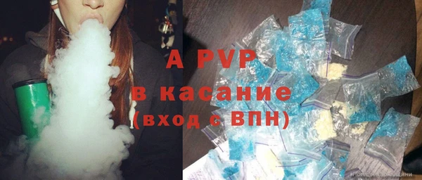 индика Балахна