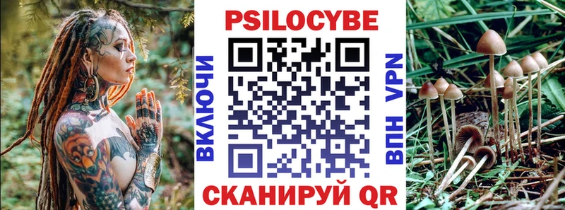 Псилоцибиновые грибы прущие грибы  Купить закладки  Ижевск 